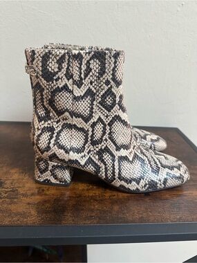 Sam Edelman Snake-Print Ankle Boots in Black and Cream